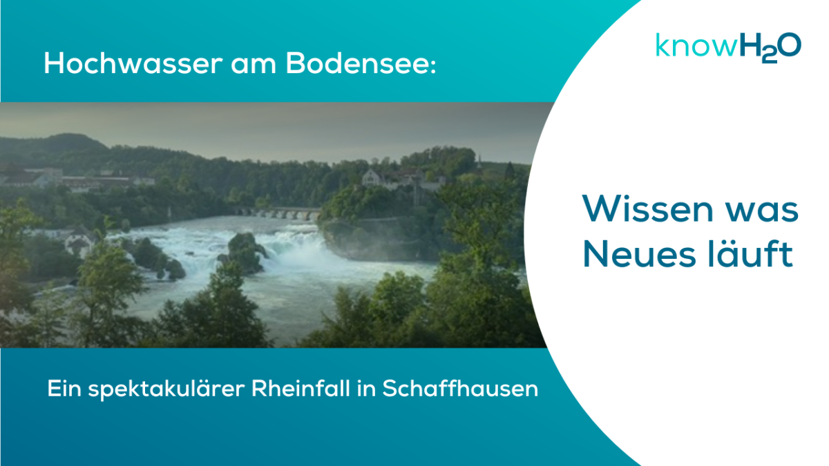 TN Hochwasser Bodensee